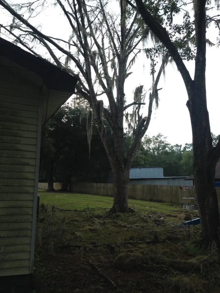 Reliable outdoor landscaping in Jacksonville, FL by J & K Tree & Land