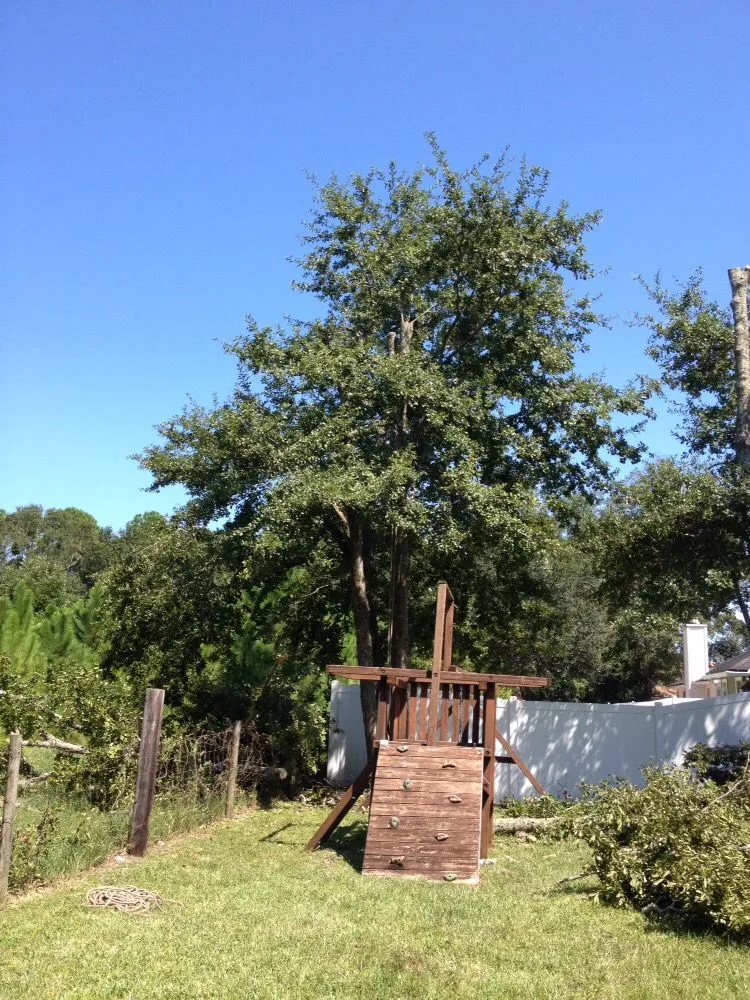 Affordable yard maintenance in Jacksonville, FL - J & K Tree & Land