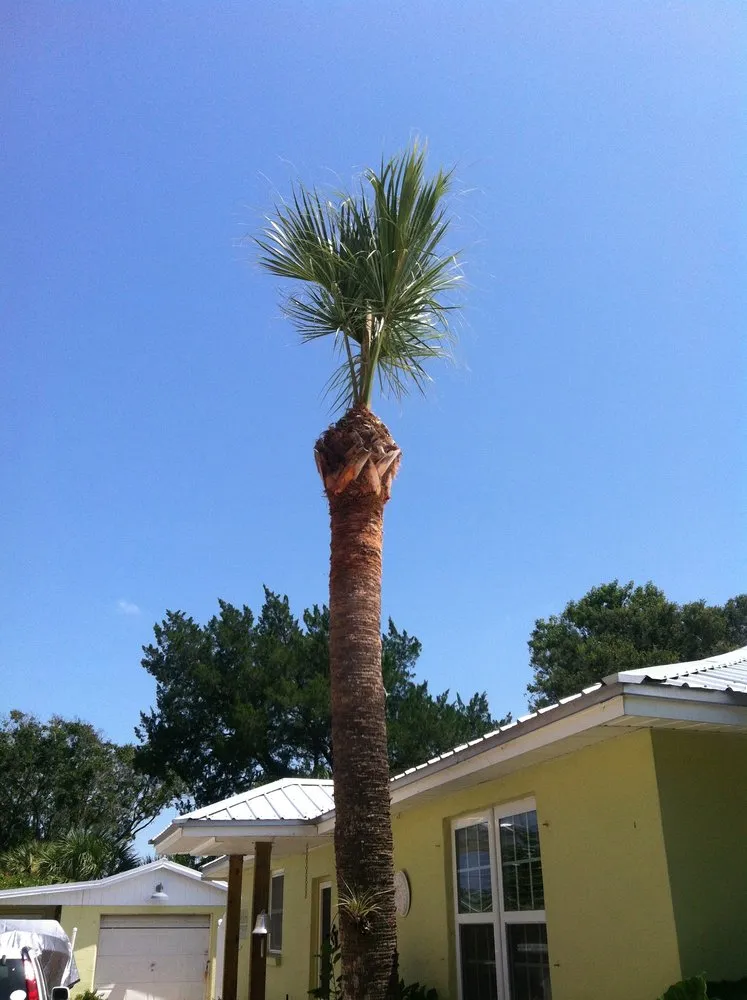 Reliable yard maintenance for year-round maintenance in Jacksonville, FL by J & K Tree & Land