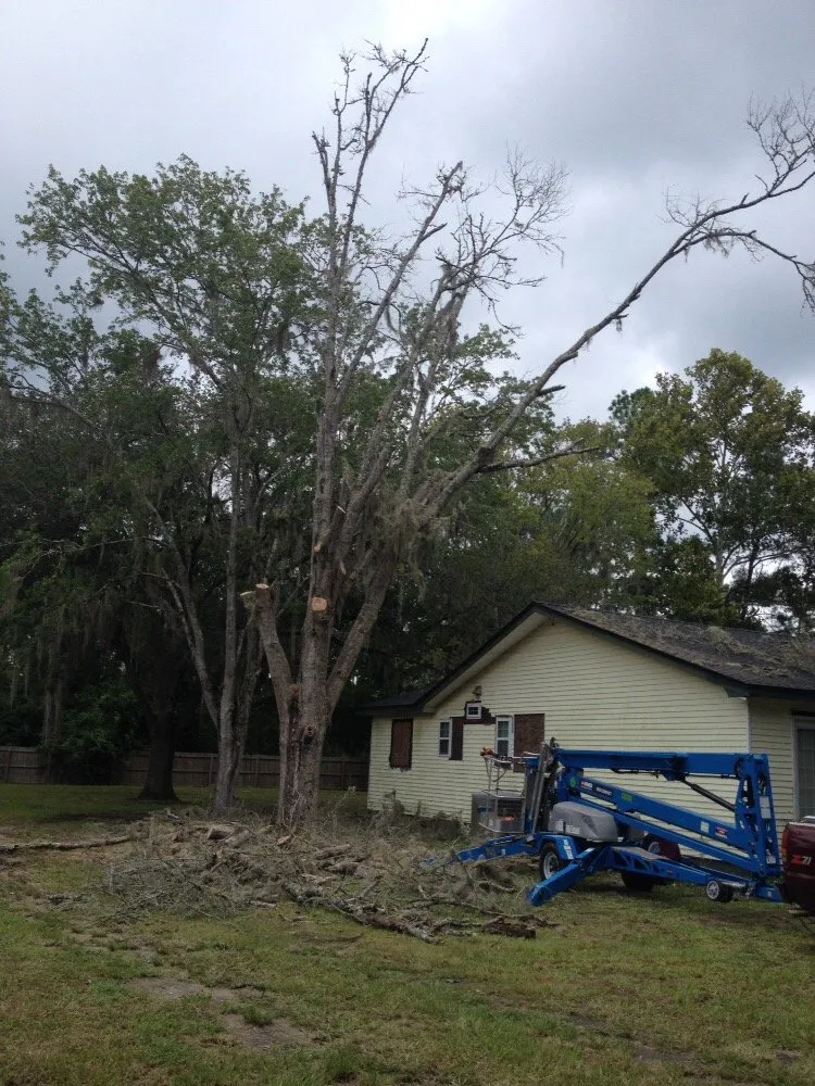 Local landscape installation in Jacksonville, FL - J & K Tree & Land