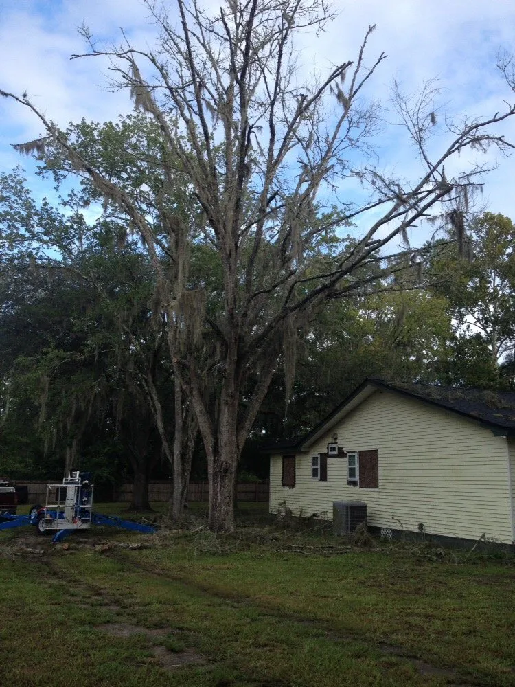 Trusted outdoor landscaping in Jacksonville, FL - J & K Tree & Land