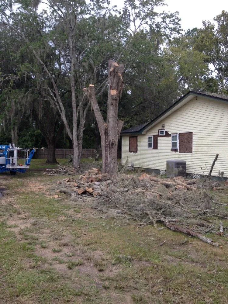 Affordable lawn mowing service experts serving Jacksonville, FL - J & K Tree & Land