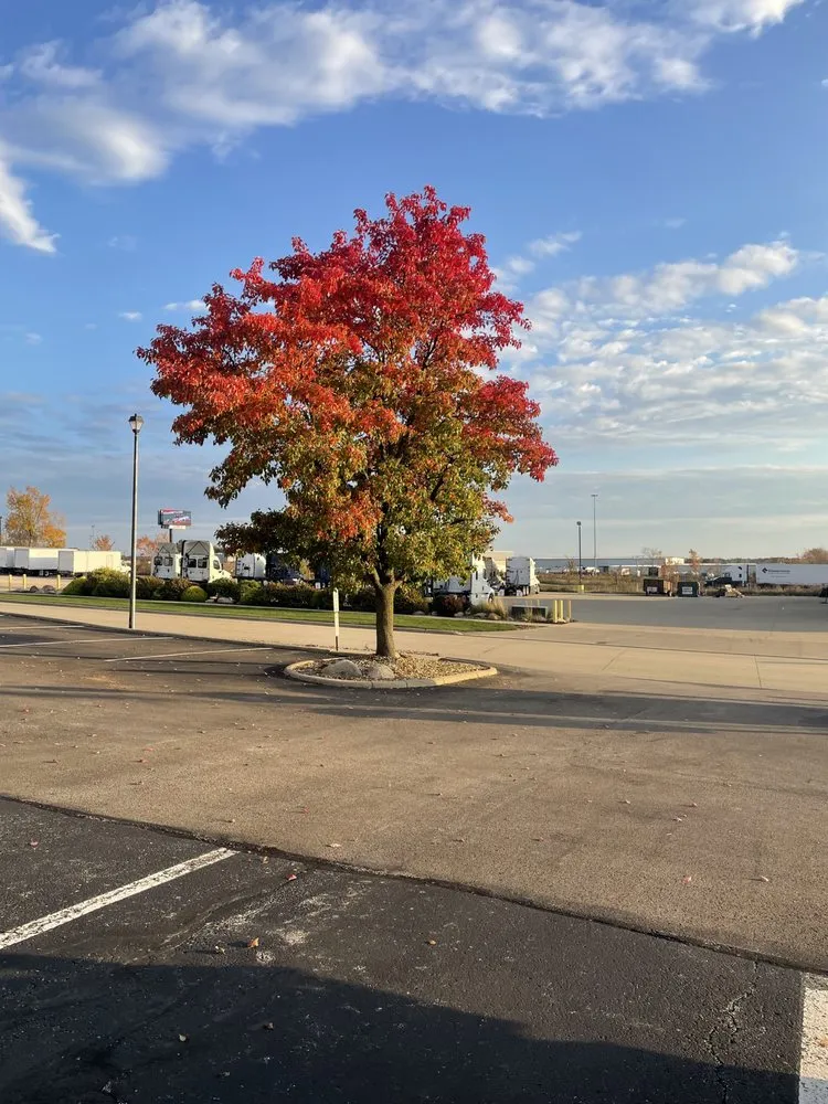 Expert landscape installation experts serving Medina, OH - J & K Tree And Landscaping