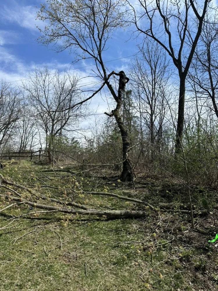 Top-rated residential landscaping in Sharon, WI by J & L 4 Seasons