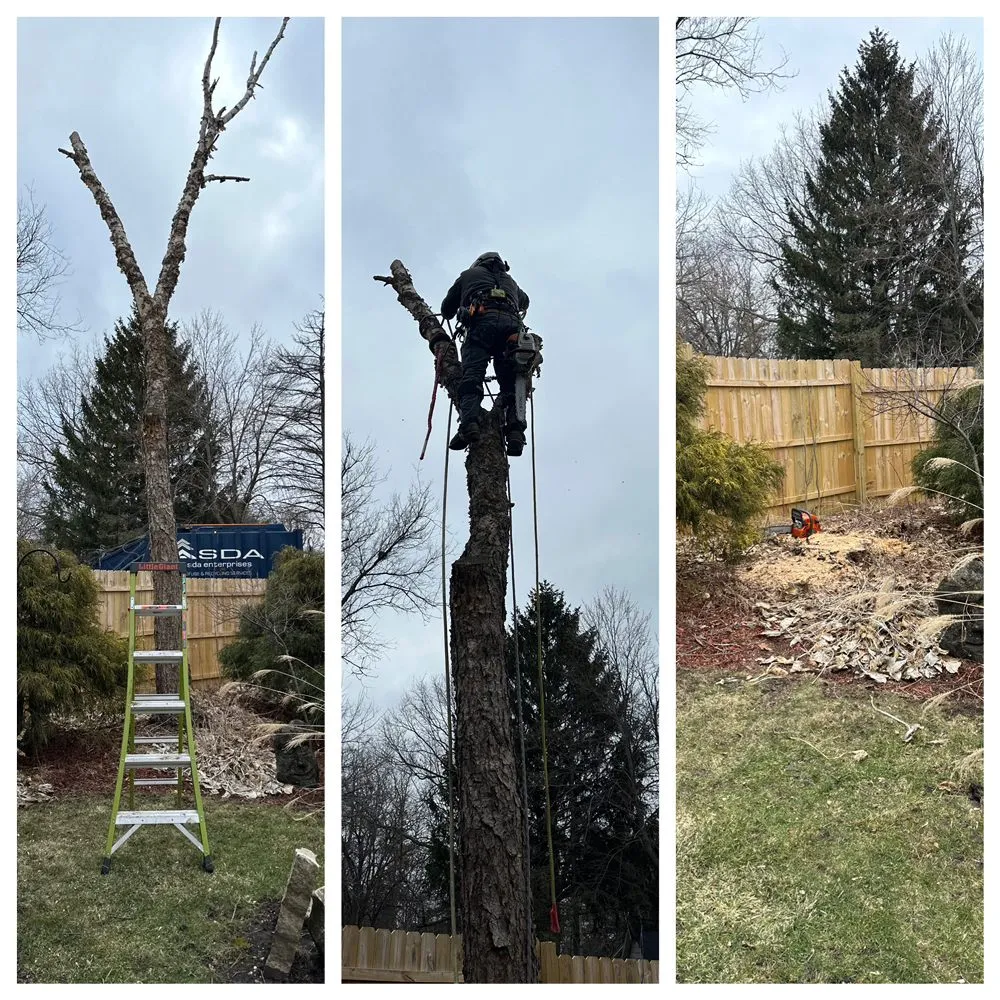 Professional residential landscaping in Sharon, WI by J & L 4 Seasons