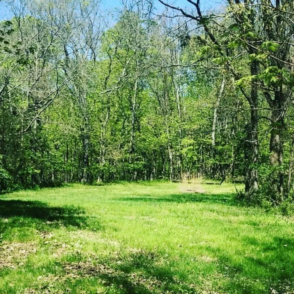 Professional landscaping services in Murfreesboro, TN by J & L Brothers