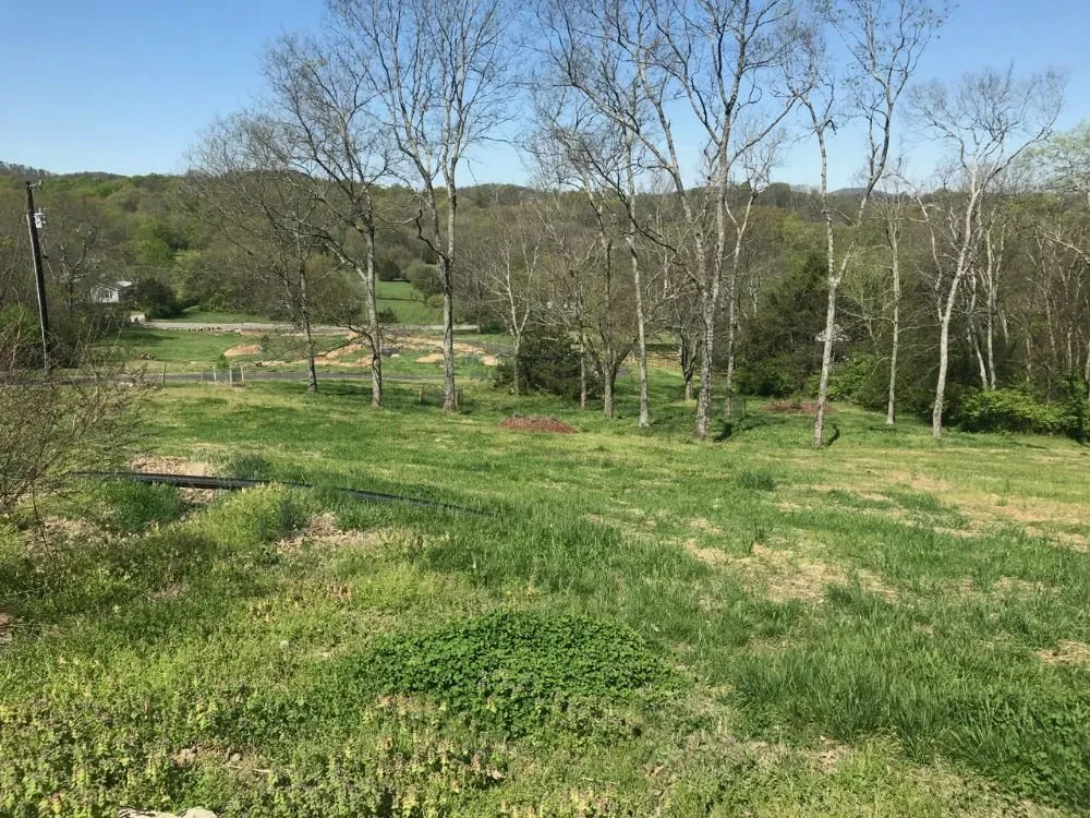 Affordable lawn care service in Murfreesboro, TN - J & L Brothers