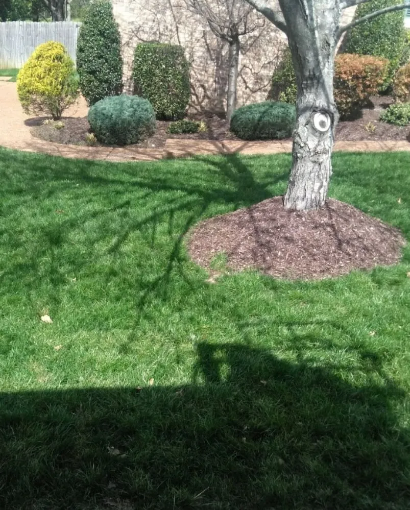 Professional garden landscaping in Murfreesboro, TN - J & L Brothers
