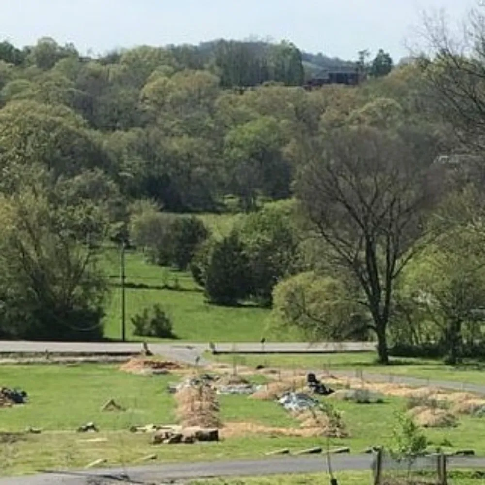 Expert outdoor landscaping for residential properties across Murfreesboro, TN - J & L Brothers