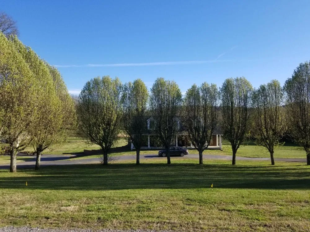 Professional residential landscaping for outdoor upgrades across Murfreesboro, TN - J & L Brothers