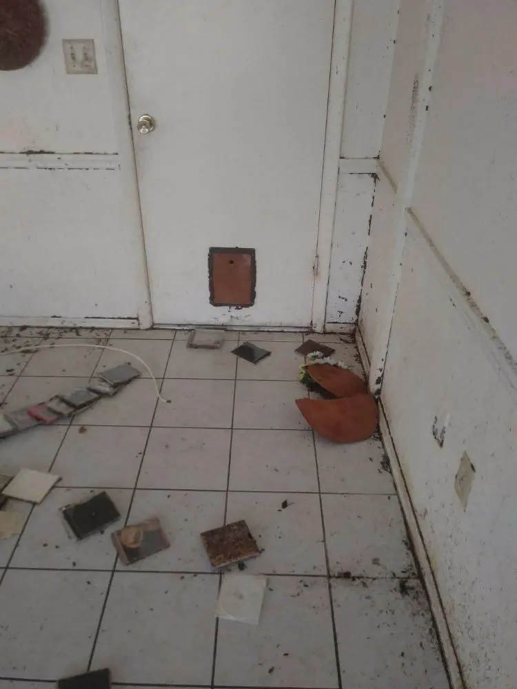 Top-rated outdoor landscaping for residential properties across Tampa, FL - J & L Handyman Services