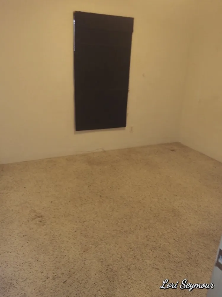 Affordable landscape design for year-round maintenance in Tampa, FL by J & L Handyman Services