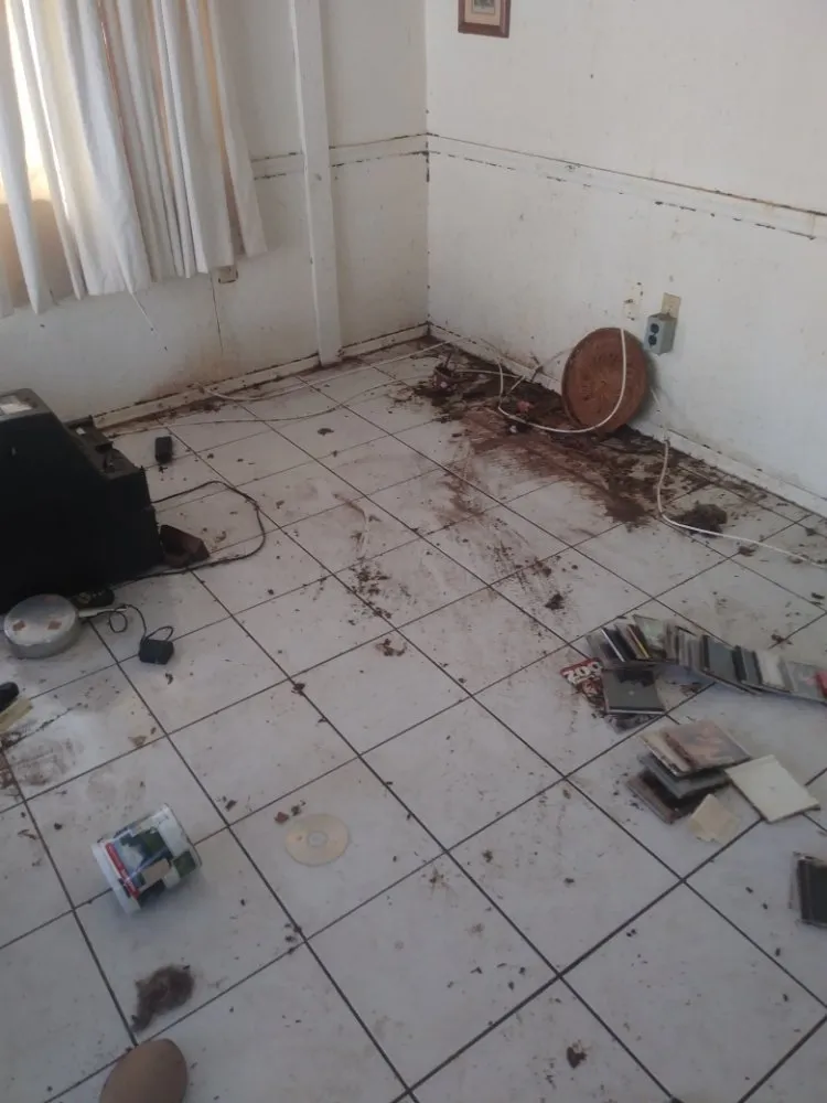 Reliable garden landscaping in Tampa, FL - J & L Handyman Services