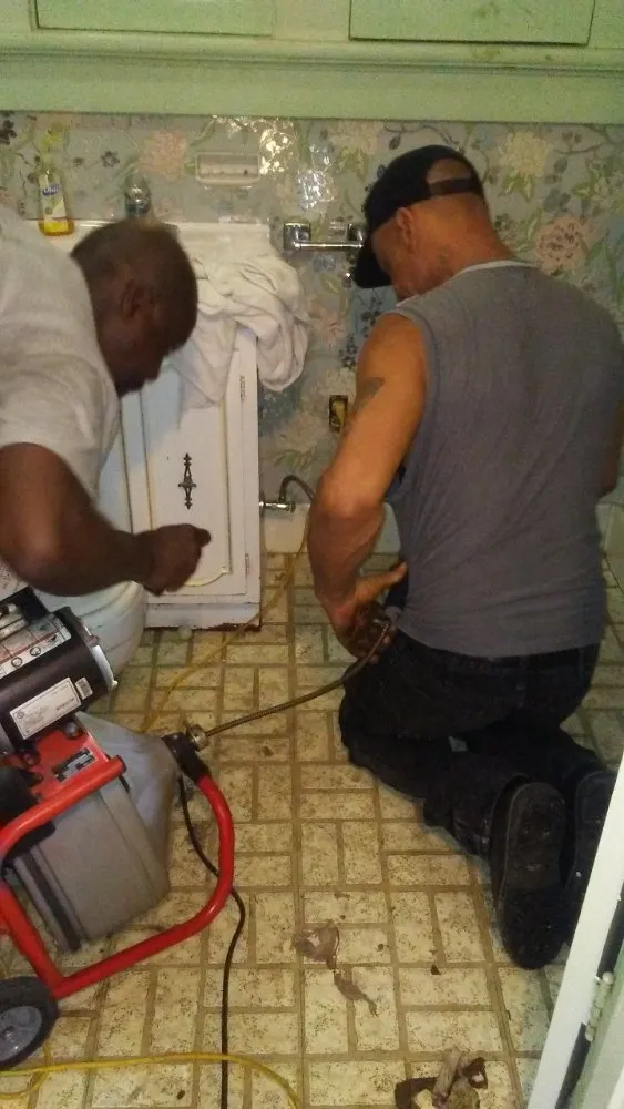 Top-rated garden landscaping experts serving Tampa, FL - J & L Handyman Services