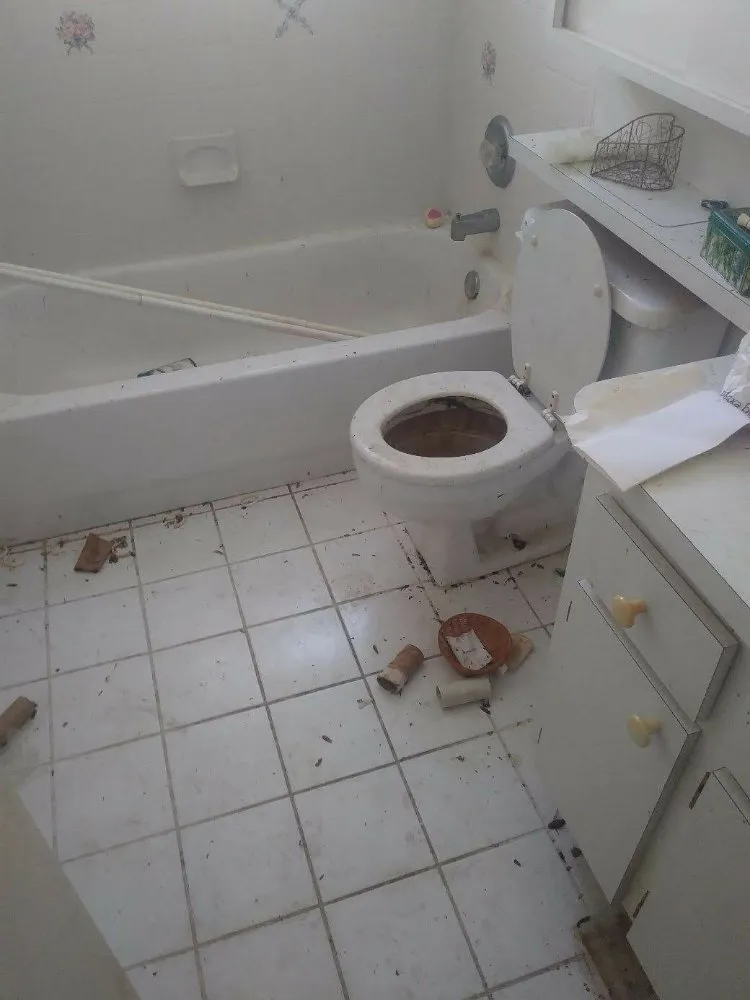 Reliable lawn mowing service for outdoor upgrades in Tampa, FL by J & L Handyman Services