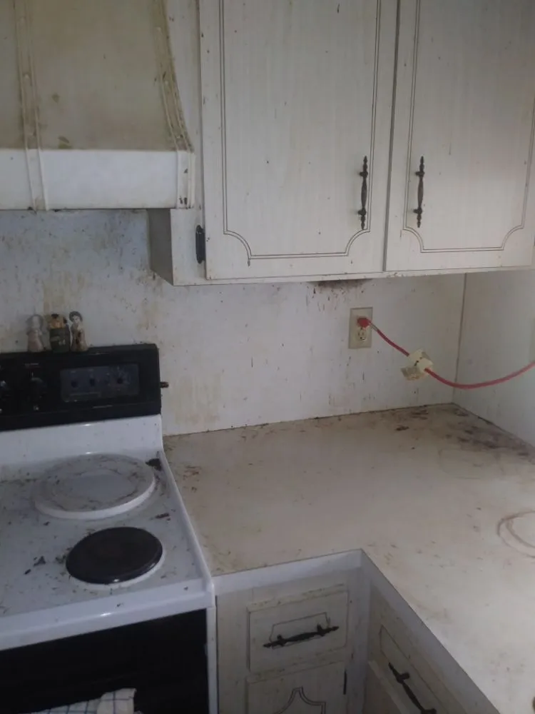 Trusted landscape installation for outdoor upgrades across Tampa, FL - J & L Handyman Services