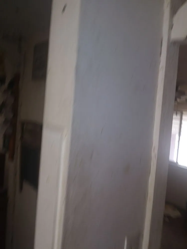 Local yard cleanup service in Tampa, FL - J & L Handyman Services