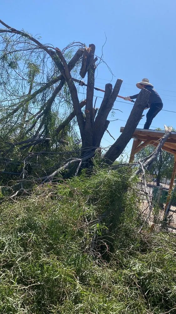 Affordable outdoor landscaping in Casa Grande, AZ by J & L Landscaping And Yard Maintenance