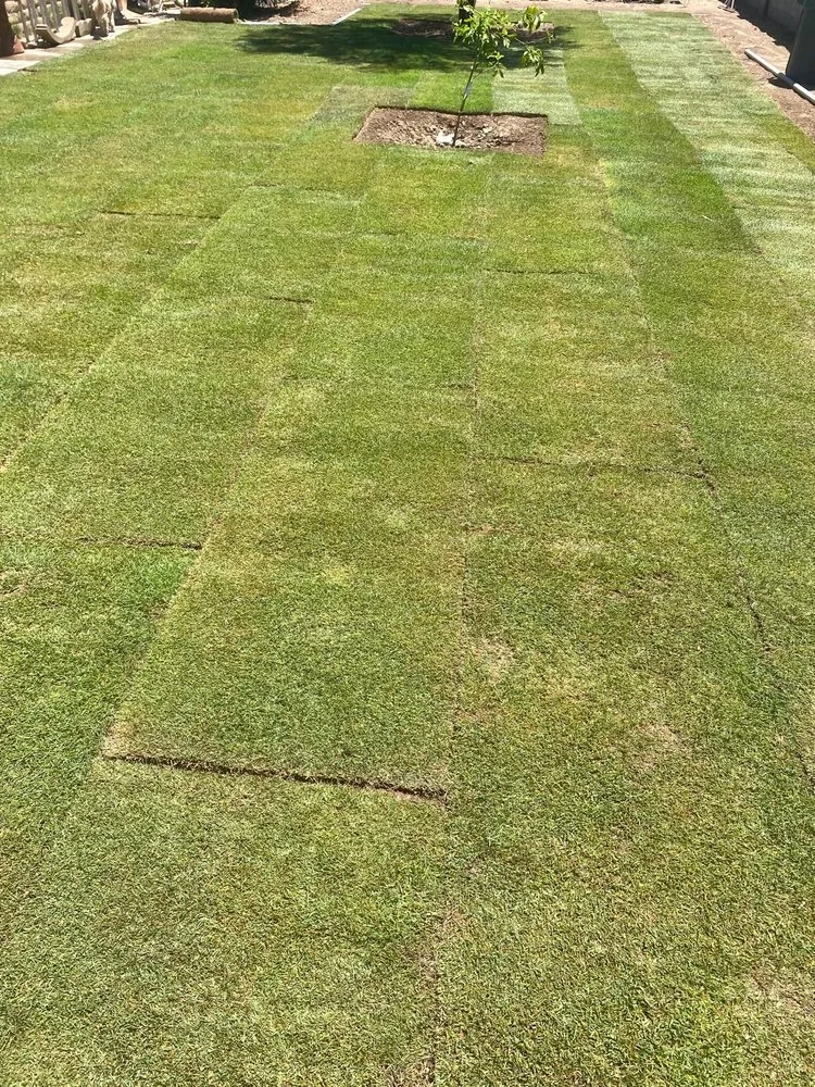 Professional lawn care service for homes in Casa Grande, AZ by J & L Landscaping And Yard Maintenance