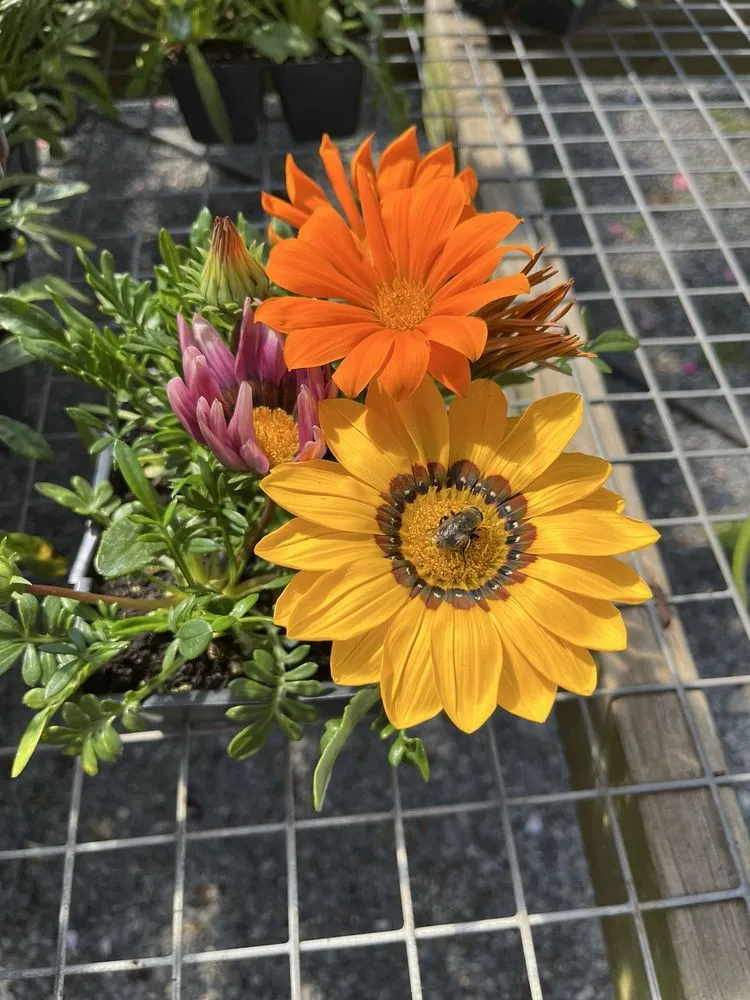 Custom outdoor landscaping in Seekonk, MA by J & L Landscaping Co