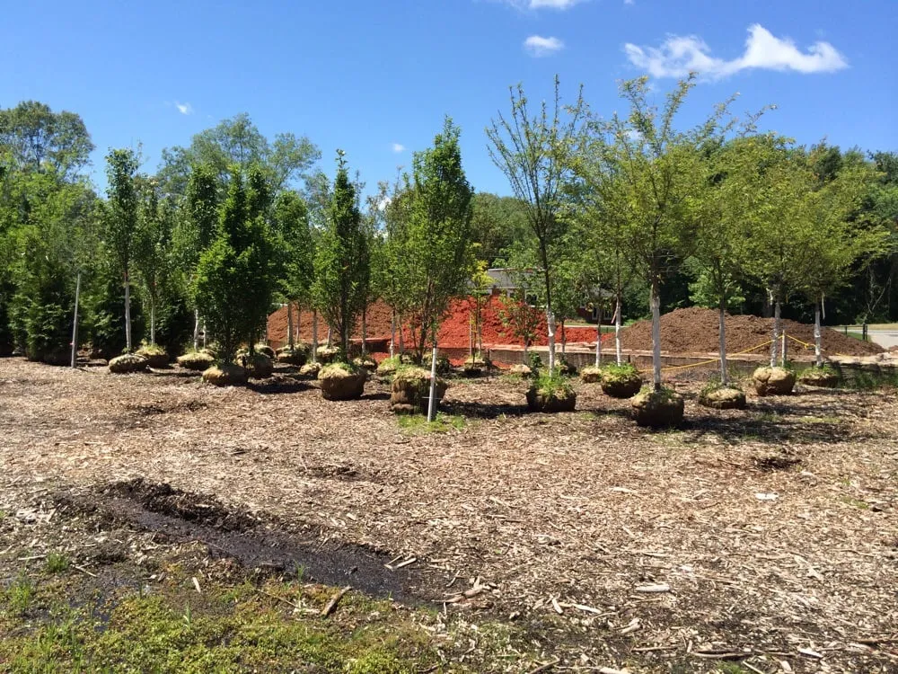 Local yard maintenance in Seekonk, MA - J & L Landscaping Co