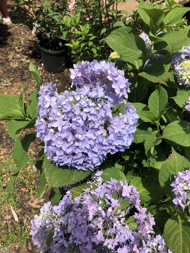 Custom outdoor landscaping near you in Seekonk, MA by J & L Landscaping Co