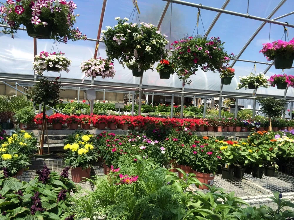 Trusted lawn care service in Seekonk, MA by J & L Landscaping Co