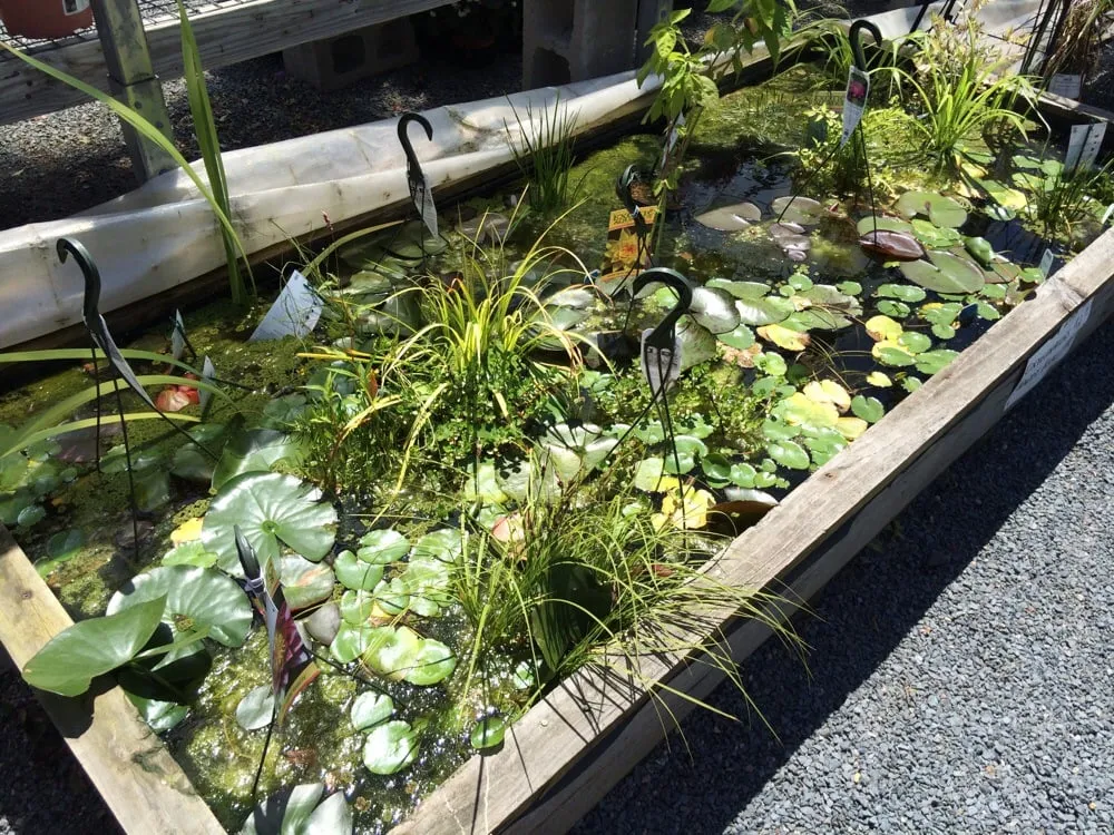 Expert lawn mowing service experts serving Seekonk, MA - J & L Landscaping Co