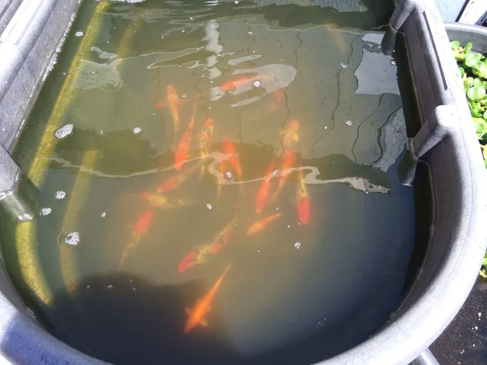 Top-rated yard cleanup service with custom design across Seekonk, MA - J & L Landscaping Co