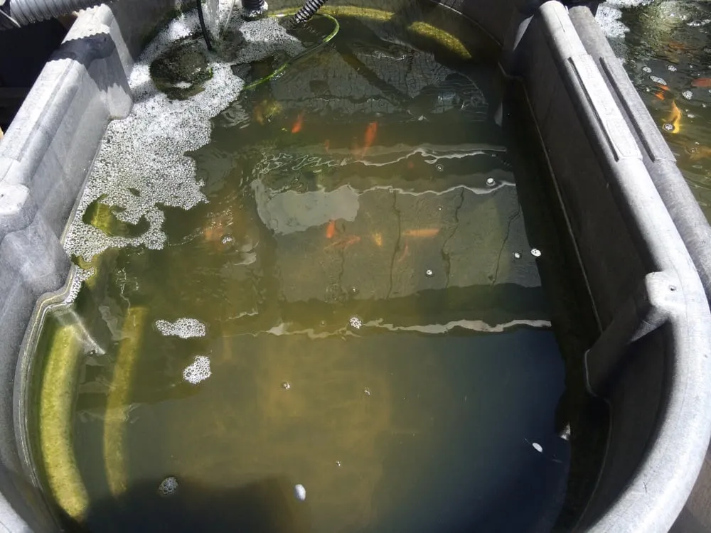 Reliable yard cleanup service in Seekonk, MA - J & L Landscaping Co