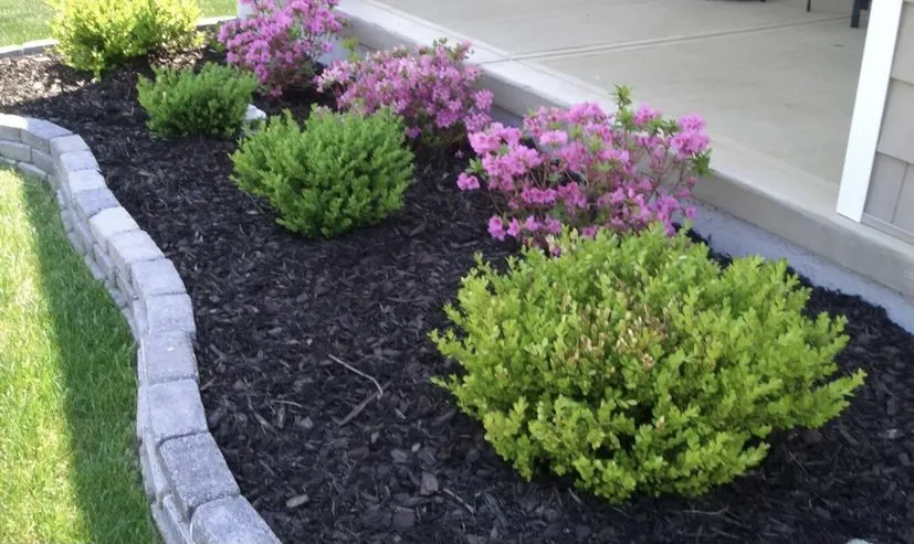 Expert yard cleanup service in Madison, AL - J & L Lawn and Landscaping