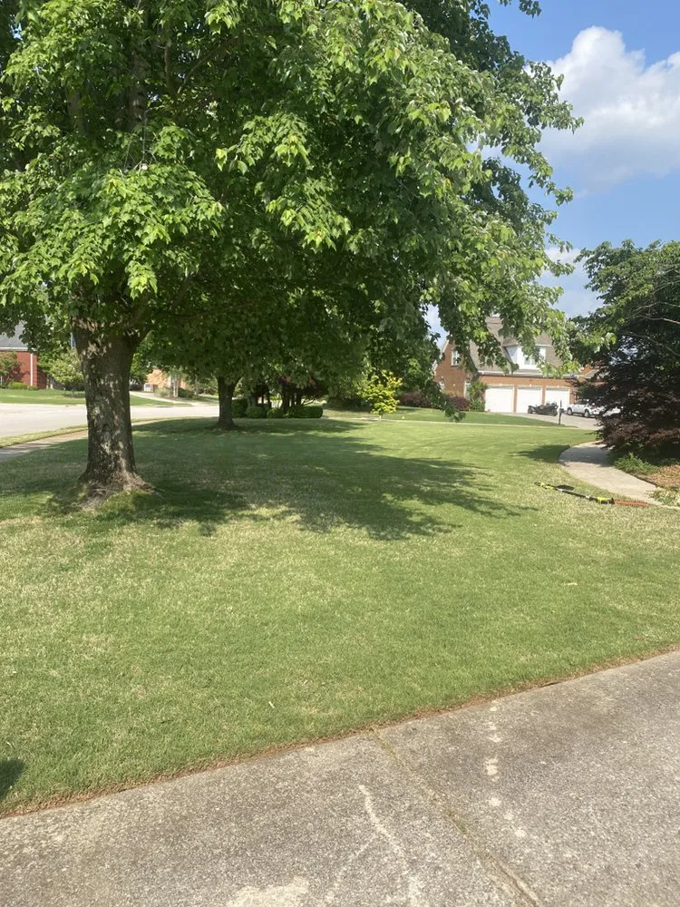Expert landscape installation for year-round maintenance across Madison, AL - J & L Lawn and Landscaping