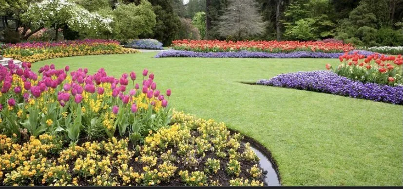 Custom lawn care service in Madison, AL - J & L Lawn and Landscaping