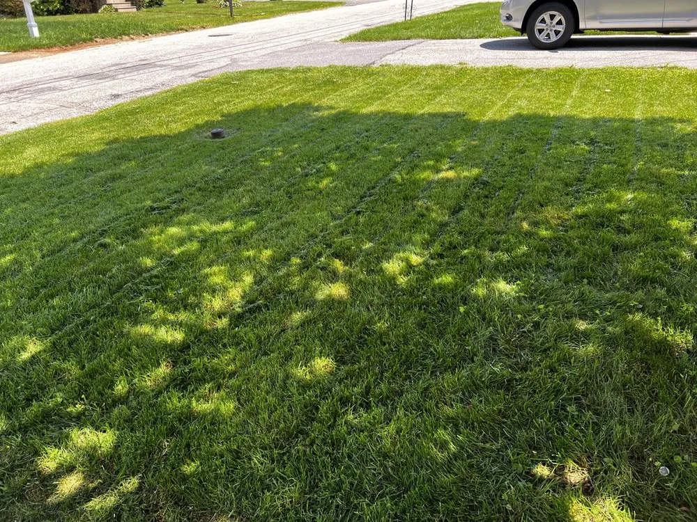 Top-rated residential landscaping in Baltimore, MD - J & L Quality Services