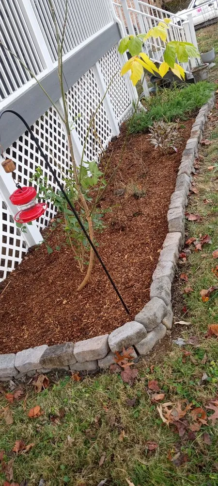 Professional yard cleanup service experts serving Johnson City, TN - J & M Cleaning Services