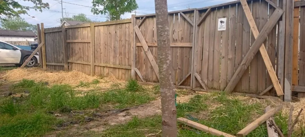 Affordable landscape installation experts serving Johnson City, TN - J & M Cleaning Services