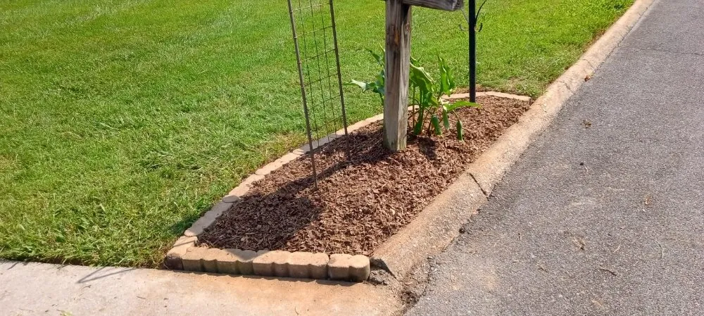 Affordable landscaping services for year-round maintenance in Johnson City, TN by J & M Cleaning Services