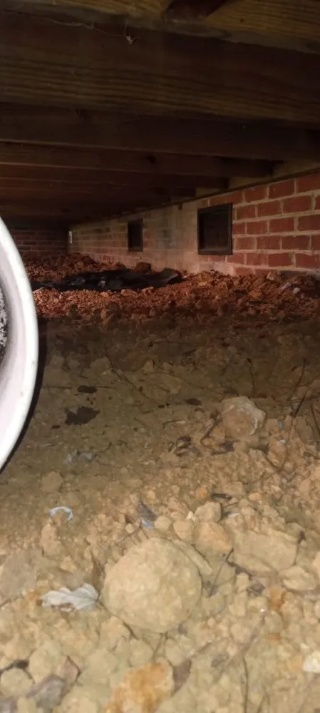 Local yard maintenance experts serving Johnson City, TN - J & M Cleaning Services