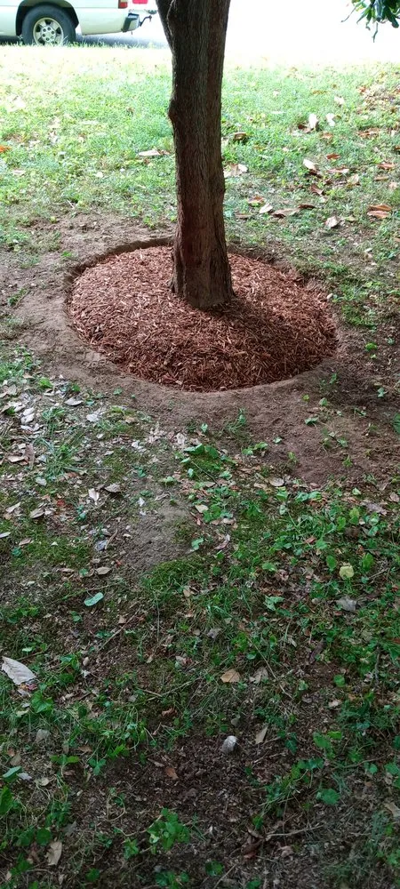 Professional landscaping services for homes across Johnson City, TN - J & M Cleaning Services