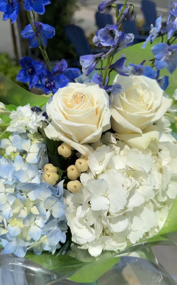 Trusted lawn care service in Madison, NJ by J & M Home And Garden