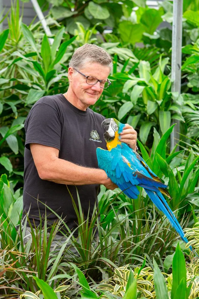 Custom lawn care service in Madison, NJ - J & M Home And Garden