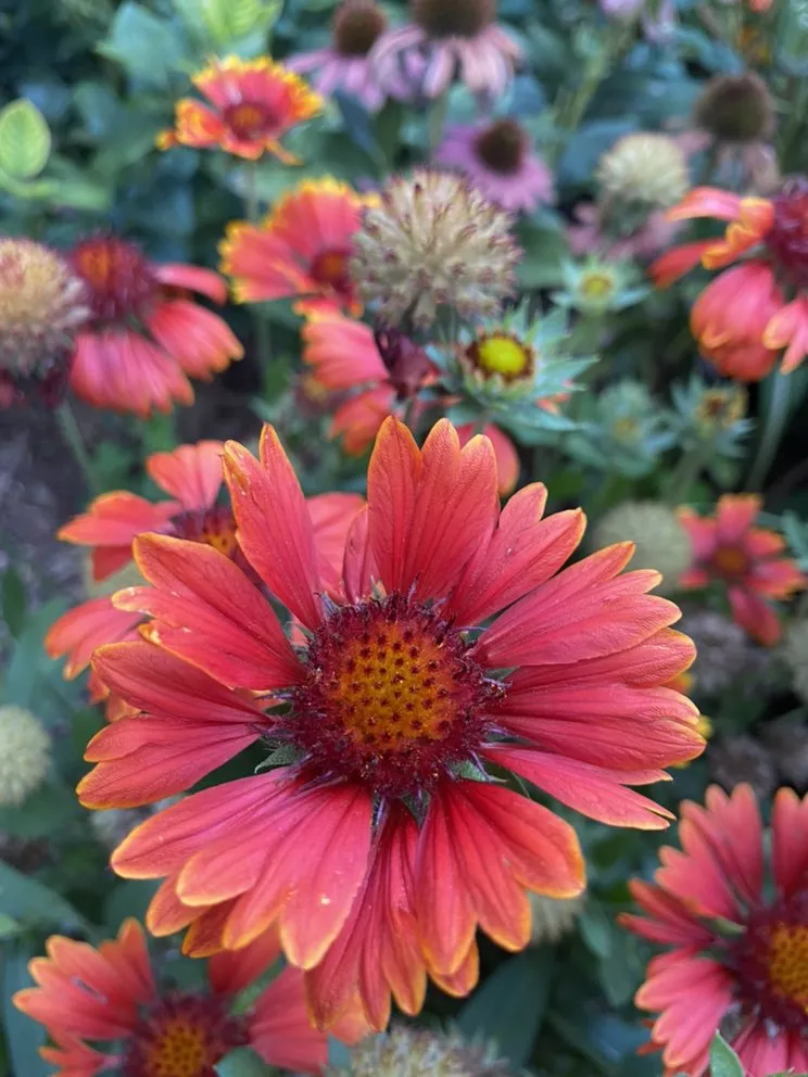 Expert residential landscaping near you in Madison, NJ by J & M Home And Garden