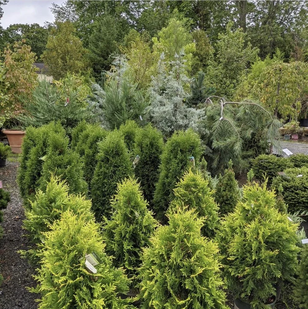 Reliable landscape installation in Madison, NJ by J & M Home And Garden