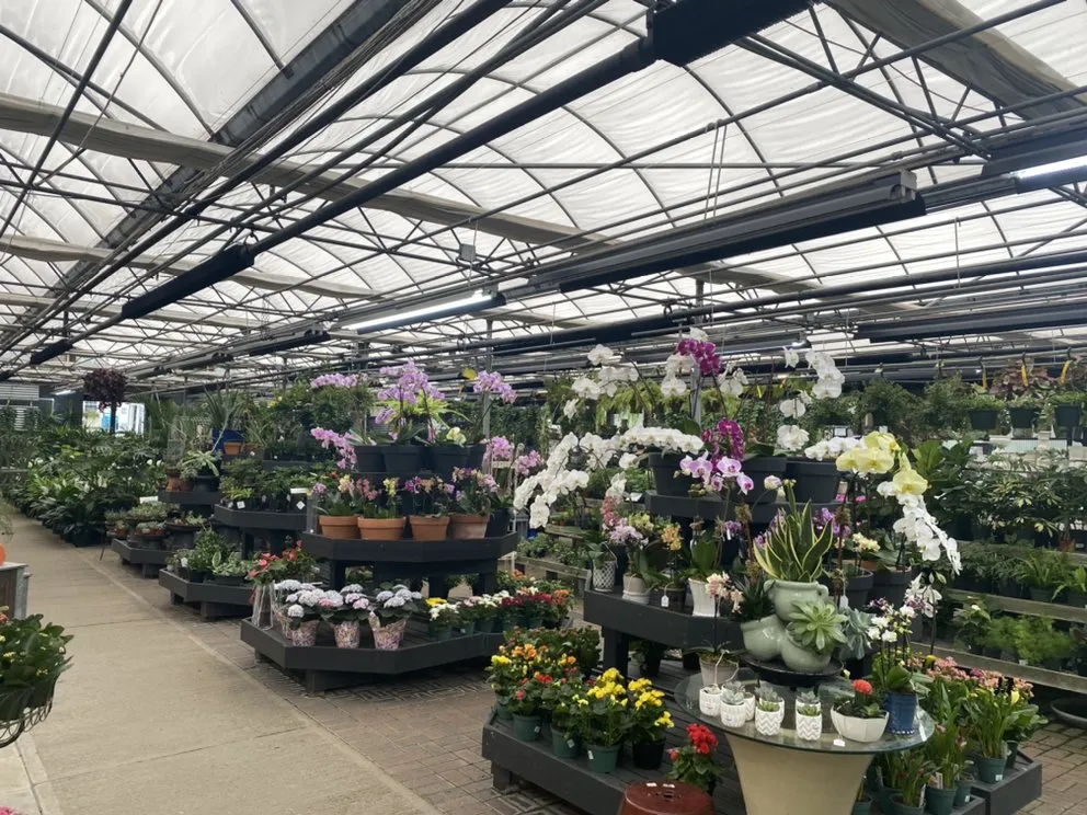 Trusted landscape design for year-round maintenance across Madison, NJ - J & M Home And Garden