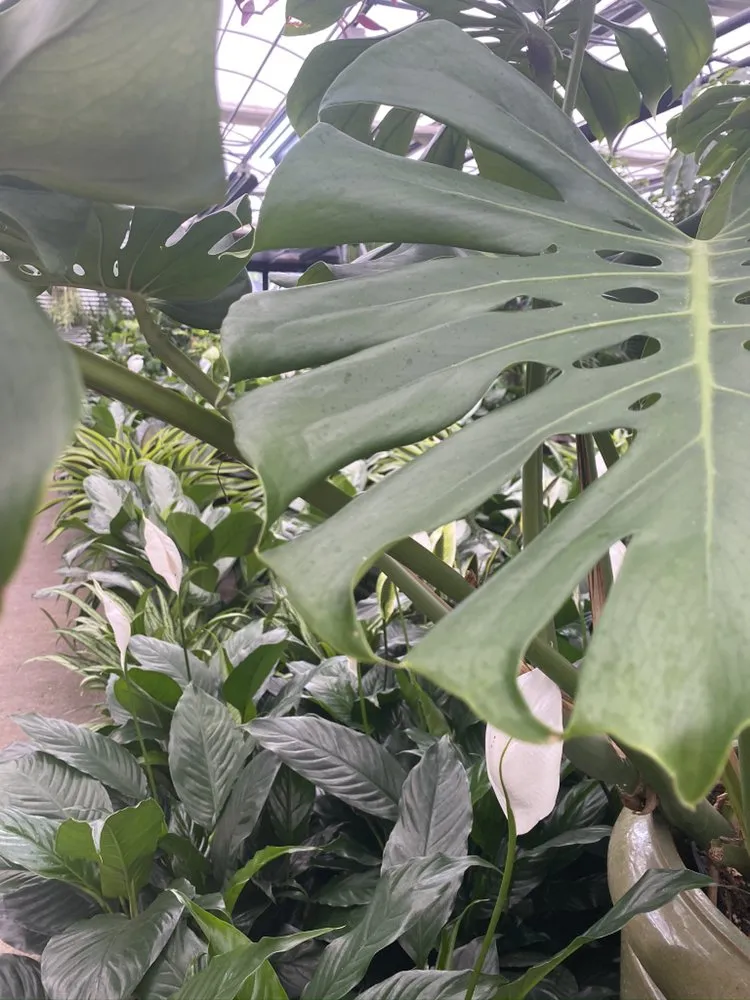 Top-rated landscape installation experts serving Madison, NJ - J & M Home And Garden