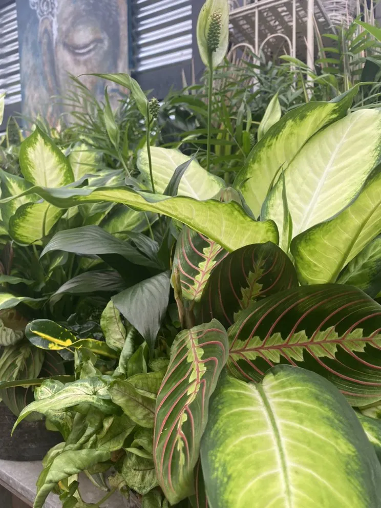 Expert landscape installation experts serving Madison, NJ - J & M Home And Garden