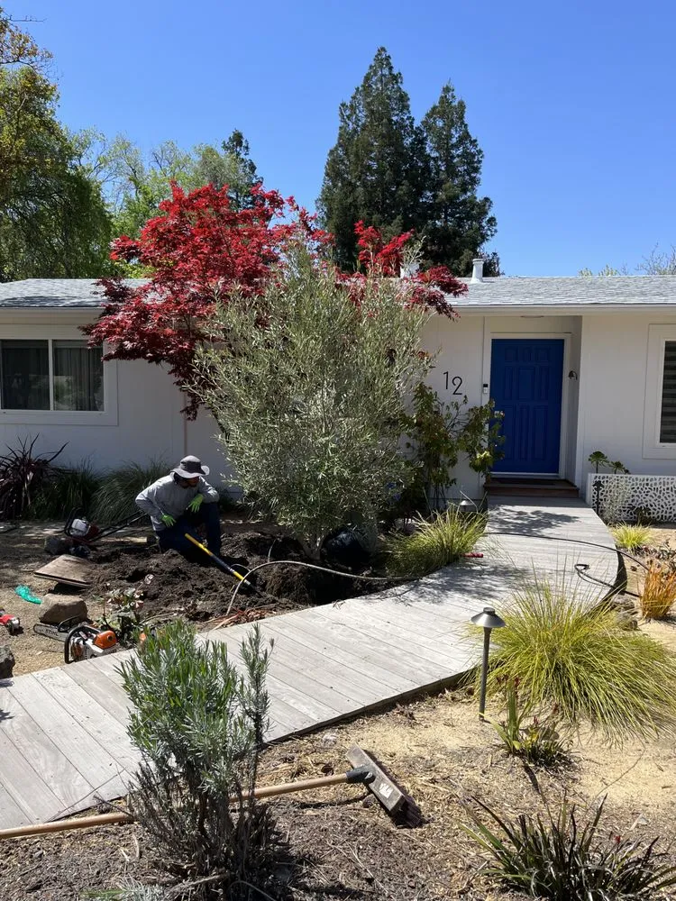 Trusted lawn mowing service with custom design in Concord, CA by J & M Landscape