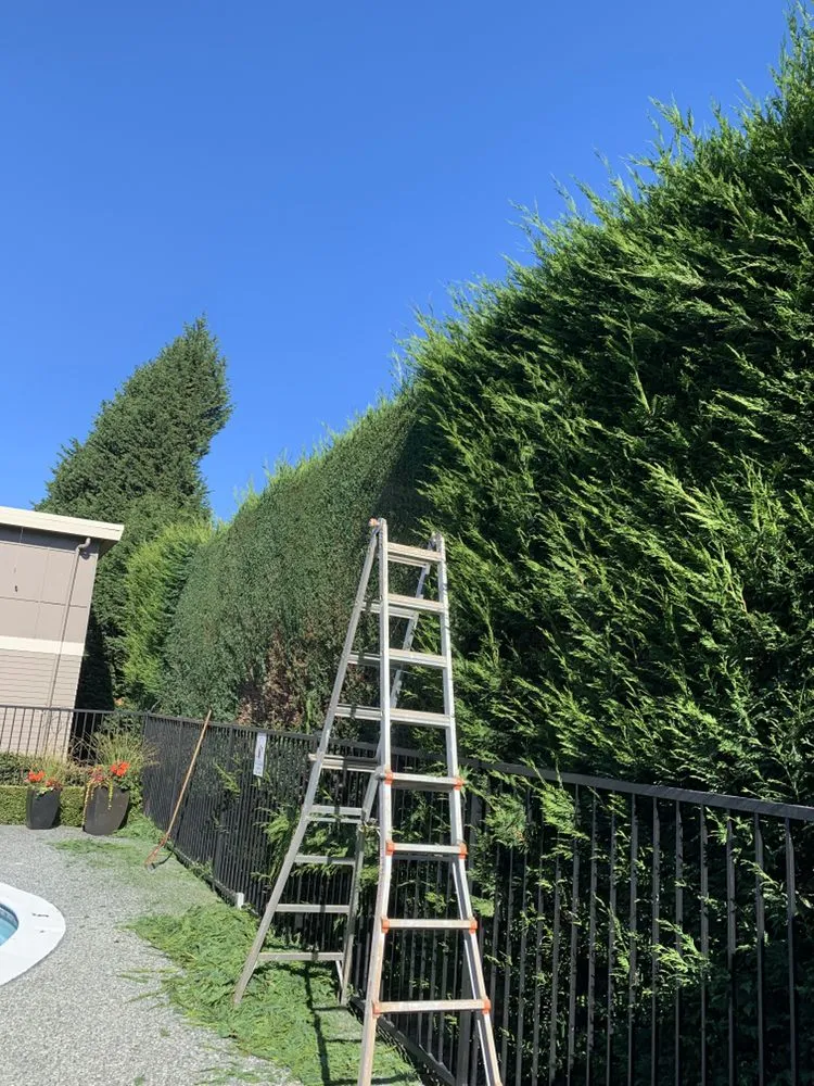 Professional residential landscaping in Kirkland, WA - J & M Landscape