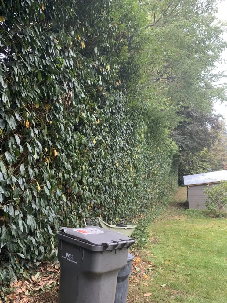 Expert garden landscaping in Kirkland, WA - J & M Landscape