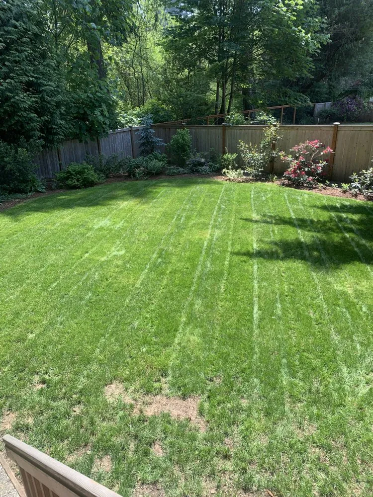 Trusted lawn care service experts serving Kirkland, WA - J & M Landscape